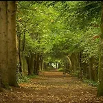 Jenkinstown Castle House Holiday home
