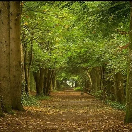 Jenkinstown Castle House בית נופש