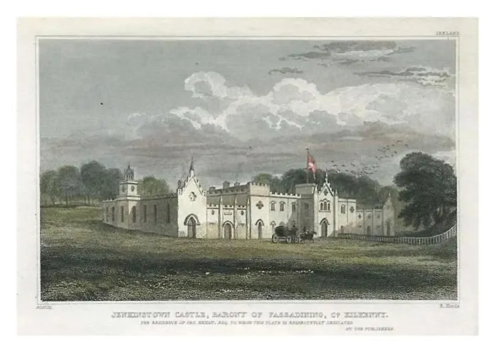 Jenkinstown Castle House * Kilkenny