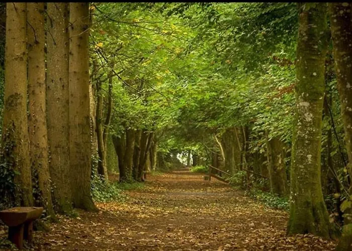 Jenkinstown Castle House Hébergement de vacances