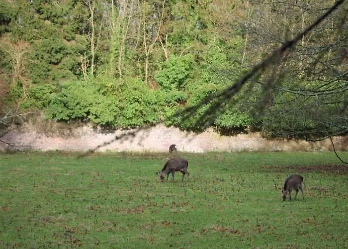 Hébergement de vacances Jenkinstown Castle House